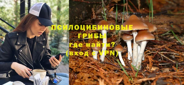 твердый Медвежьегорск