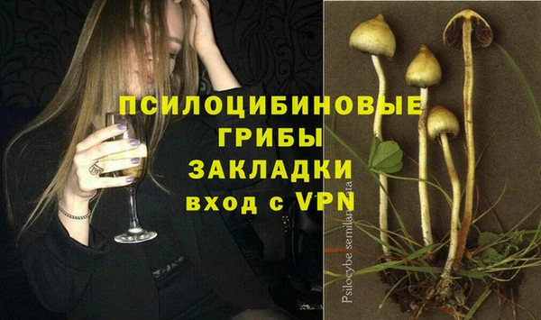 дмт Медногорск