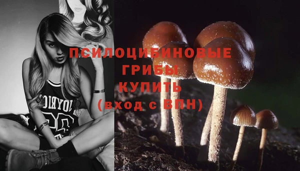 дмт Медногорск