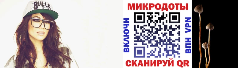 MEGA сайт  где продают наркотики  Медынь  Псилоцибиновые грибы мухоморы 