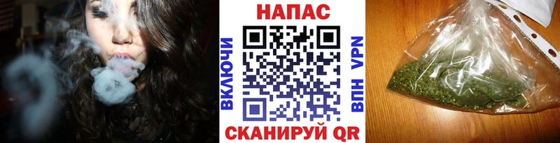 Каннабис планчик Медынь